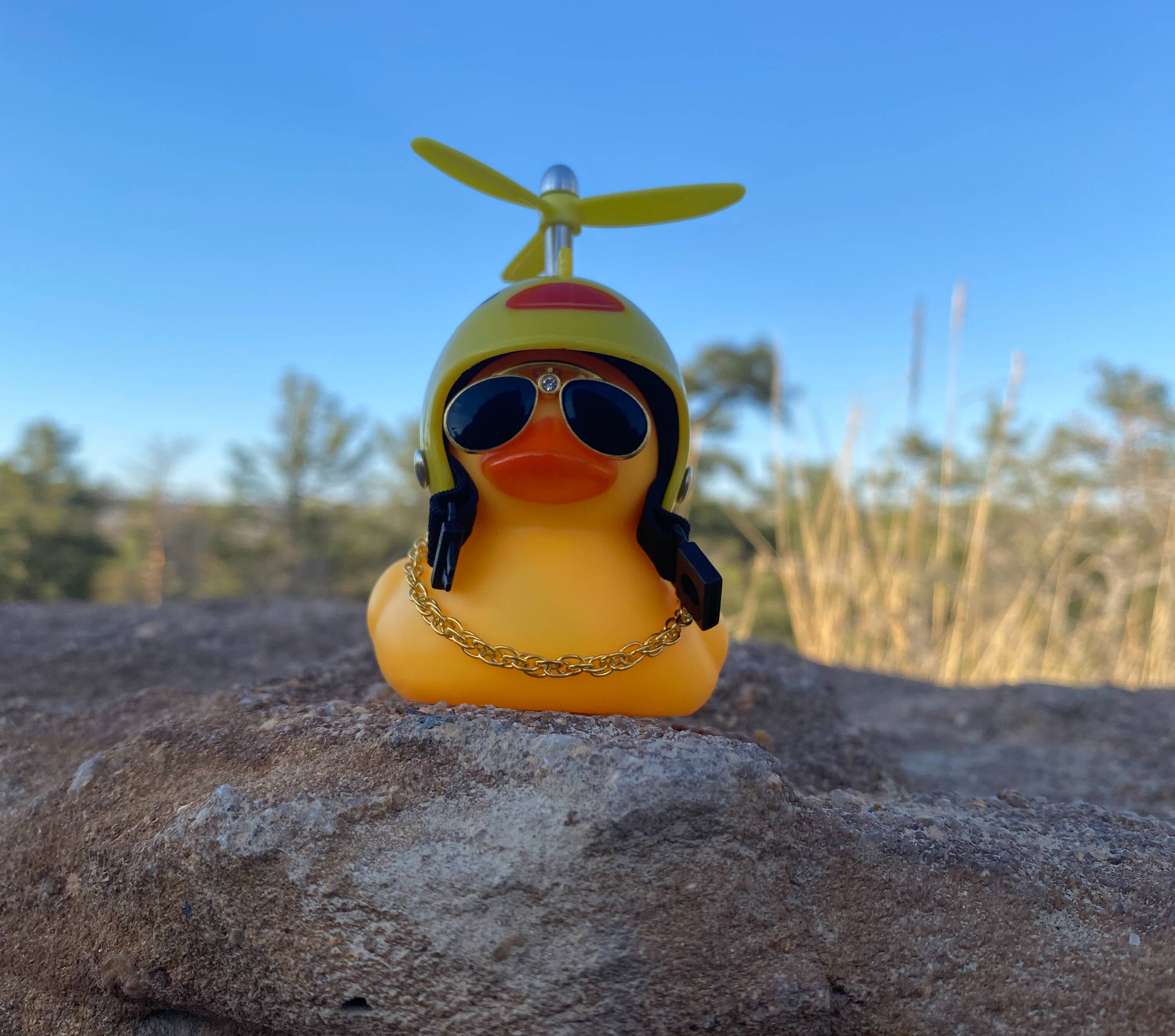 Unique Style Rubber Ducks | The Puzzled Duck